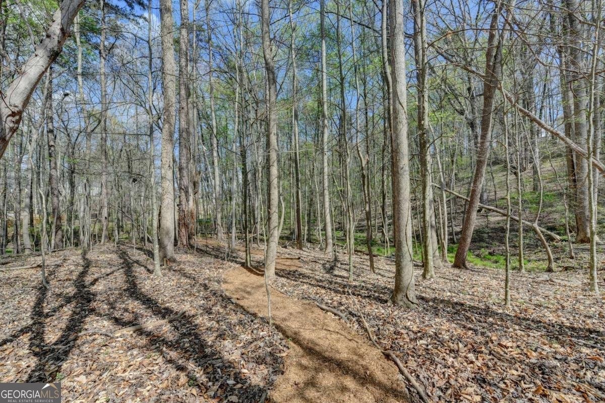 8125 Long Slope Drive Gainesville - Photo 84