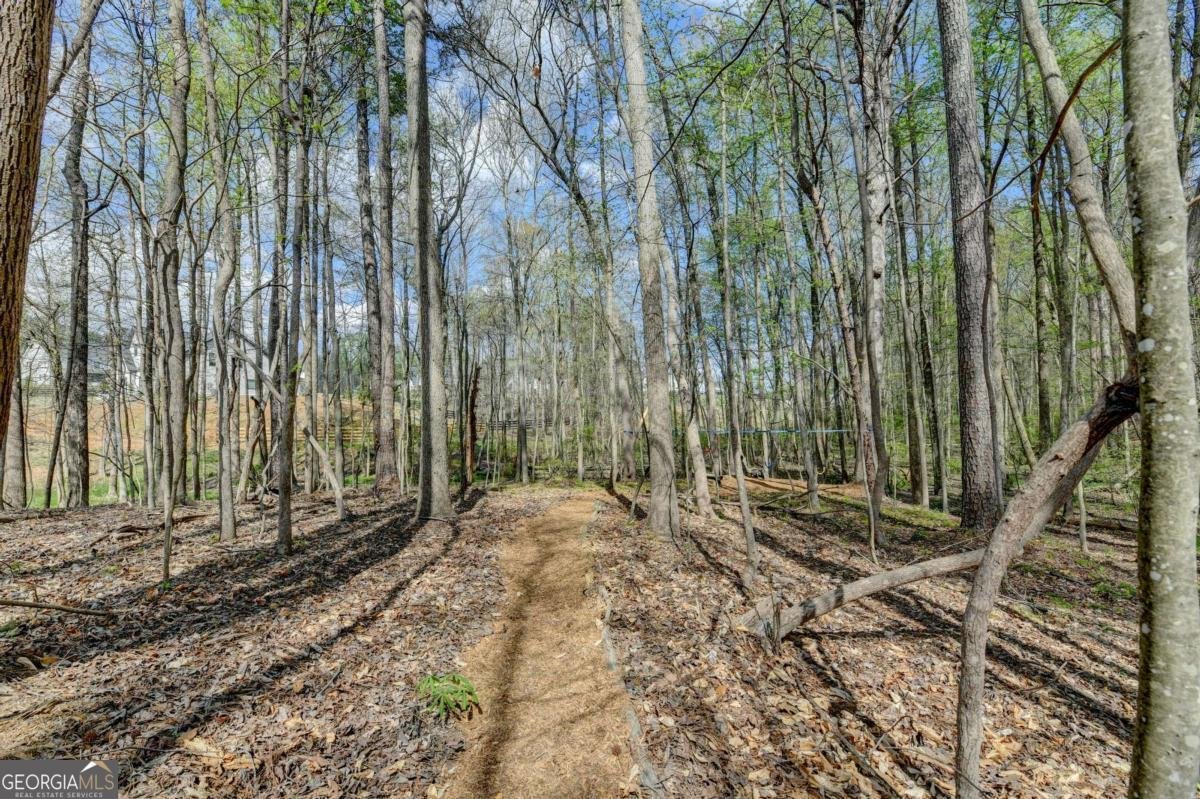 8125 Long Slope Drive Gainesville - Photo 86