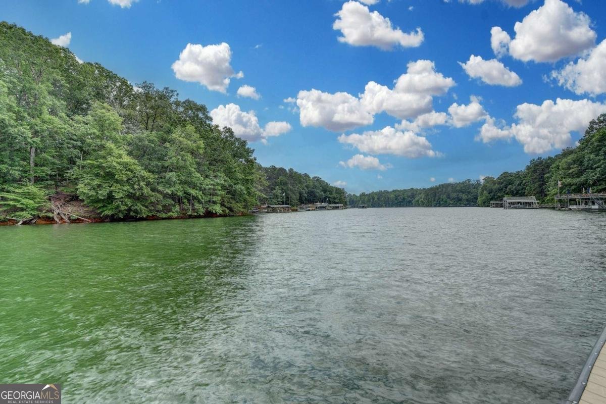 8125 Long Slope Drive Gainesville - Photo 95