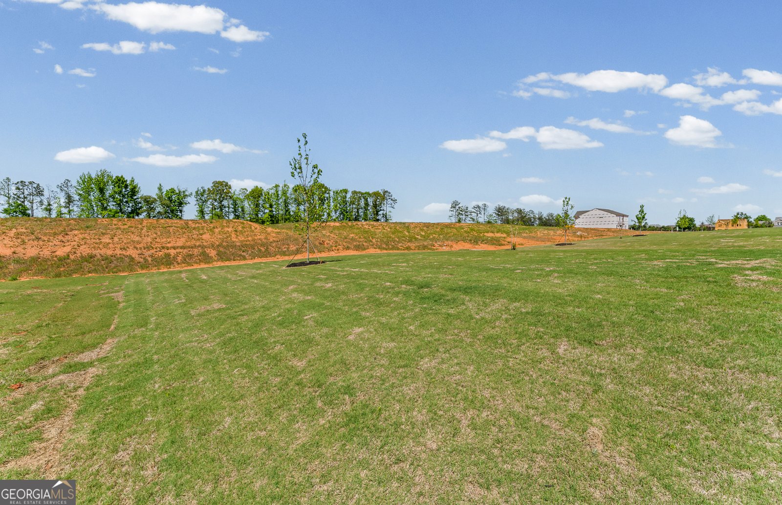 636 Vidalia Park Way Mcdonough - Photo 25