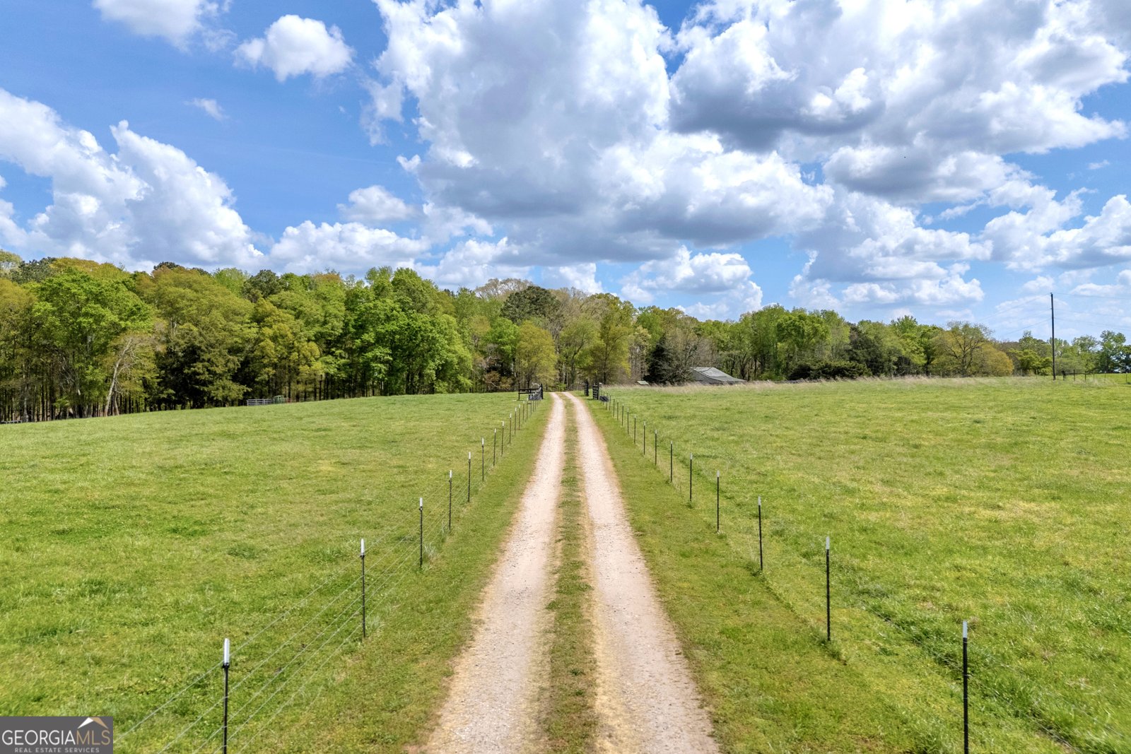 1805 Morton Road Athens - Photo 11