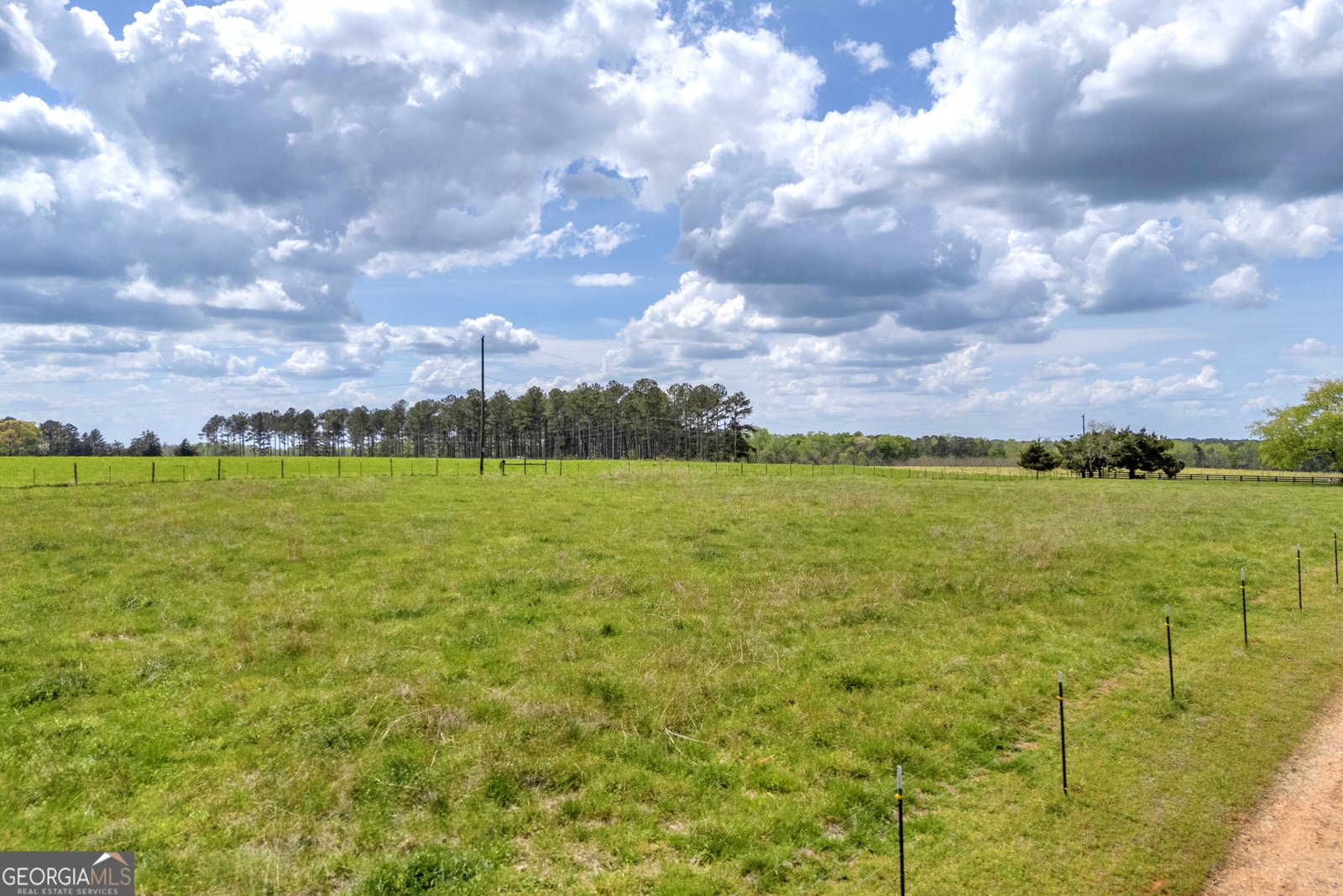 1805 Morton Road Athens - Photo 12