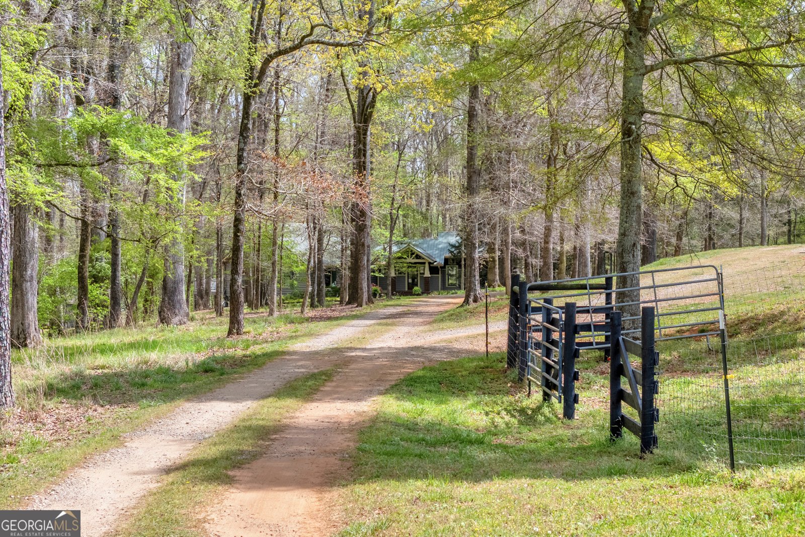 1805 Morton Road Athens - Photo 13