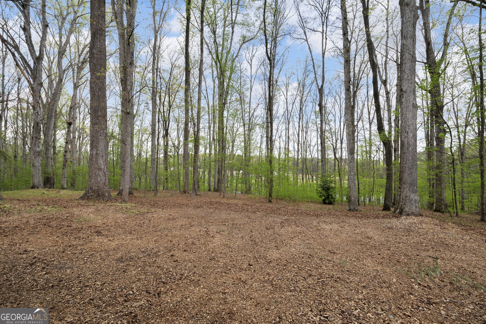 1805 Morton Road Athens - Photo 73