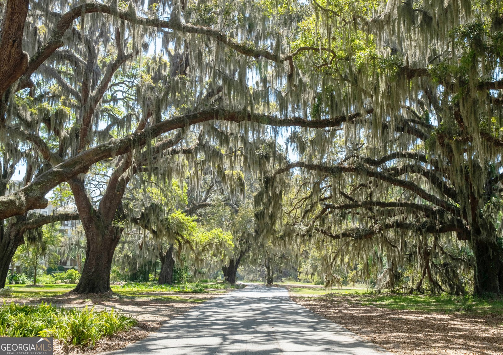 1021 Lanier Boulevard Brunswick - Photo 48