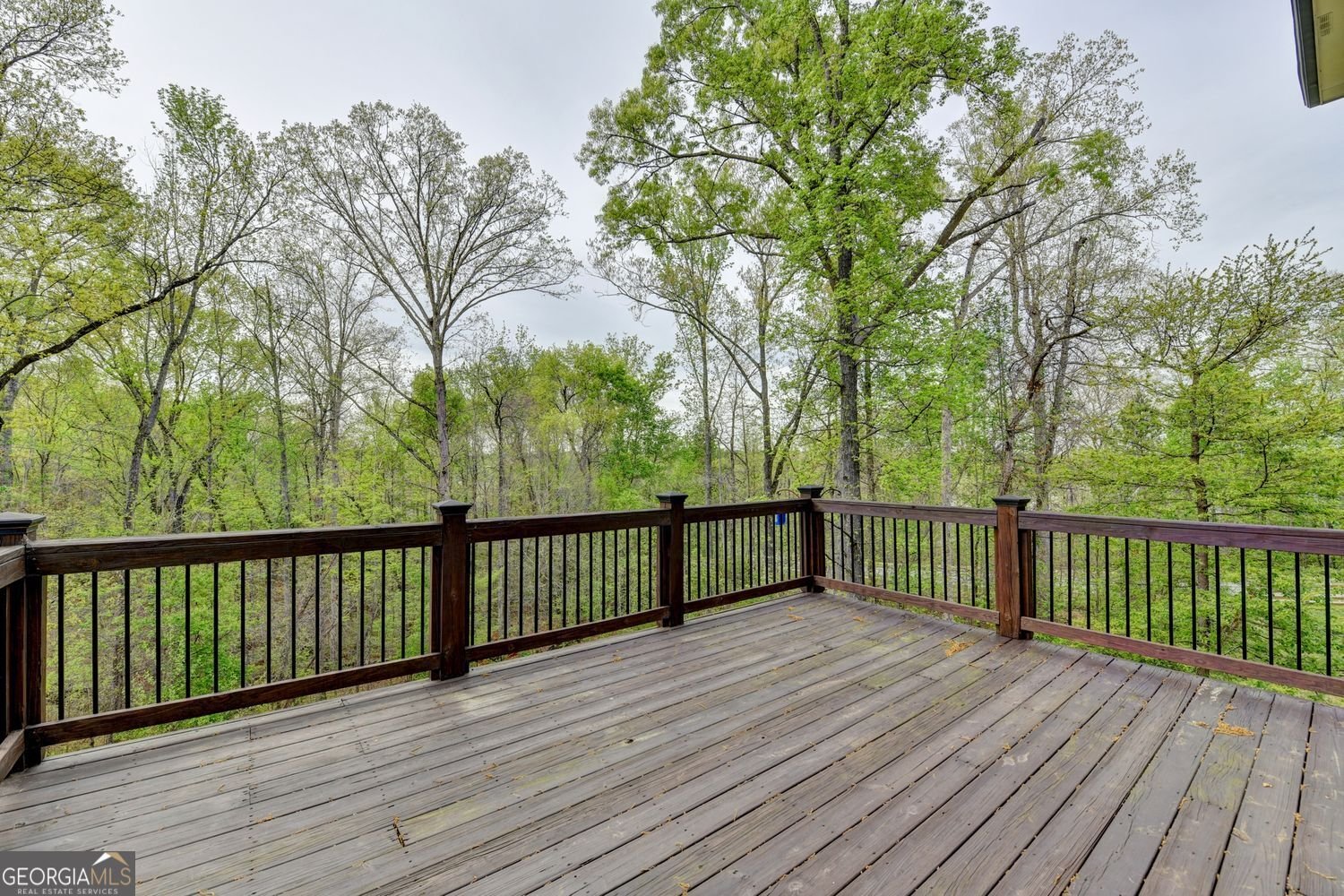 1546 Iris Glen Court Hoschton - Photo 87