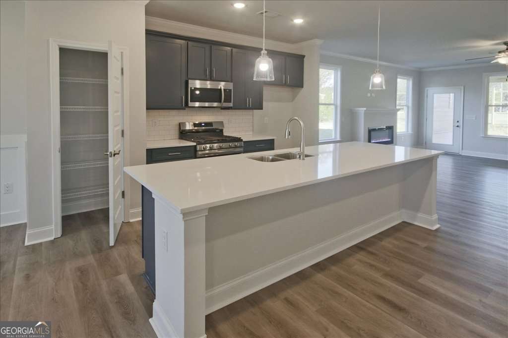 2404 Anhinga Drive Loganville - Photo 15