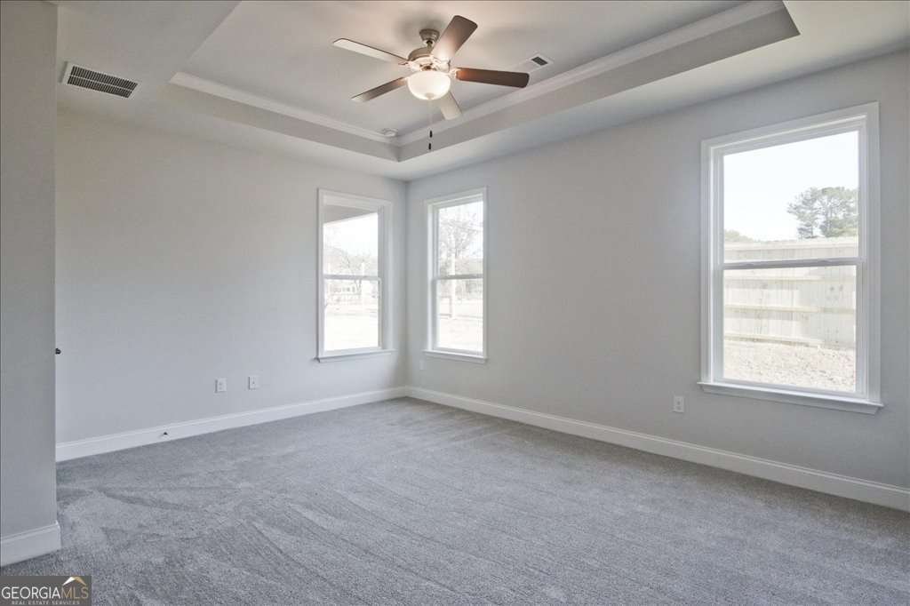 2404 Anhinga Drive Loganville - Photo 19