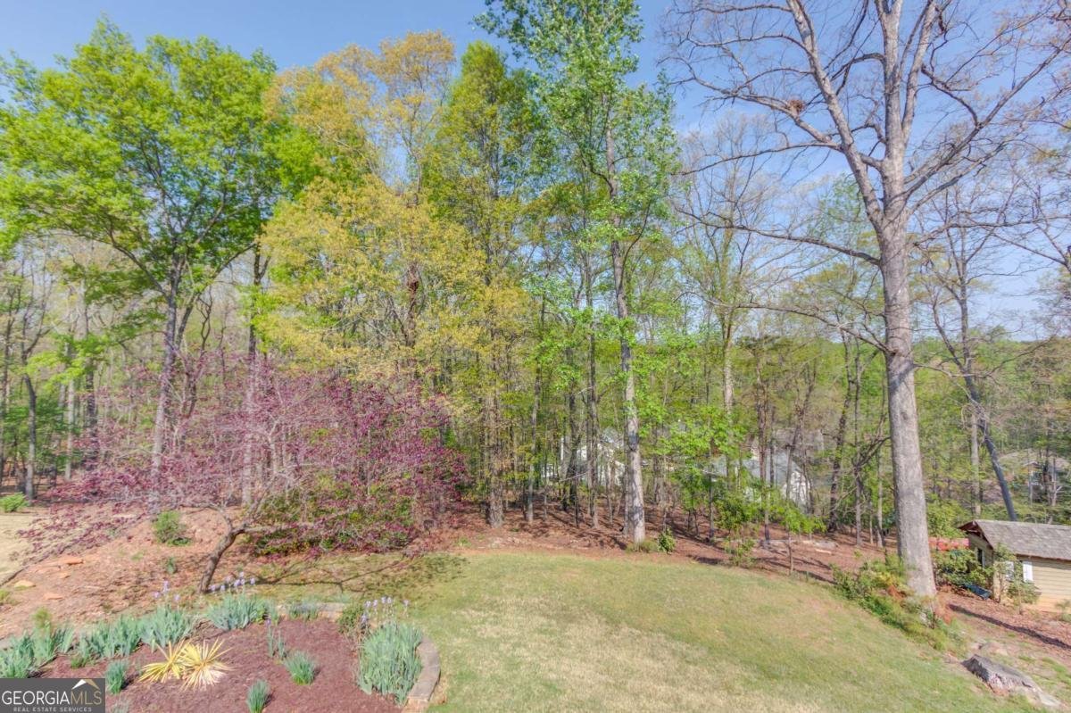 6530 Maid Marion Close Alpharetta - Photo 41