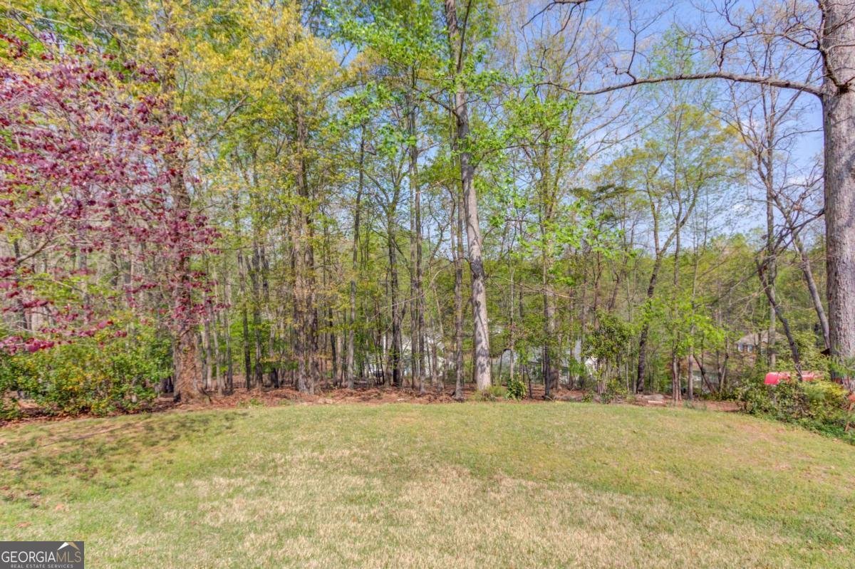 6530 Maid Marion Close Alpharetta - Photo 46