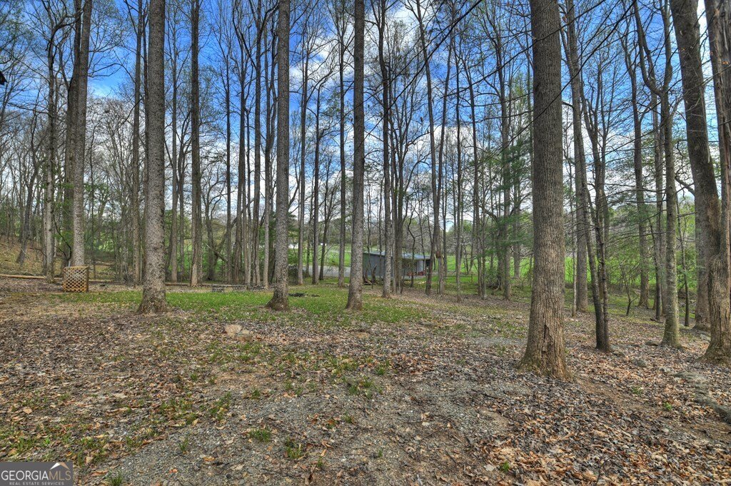 186 Stegall Mill Trail Ellijay - Photo 33