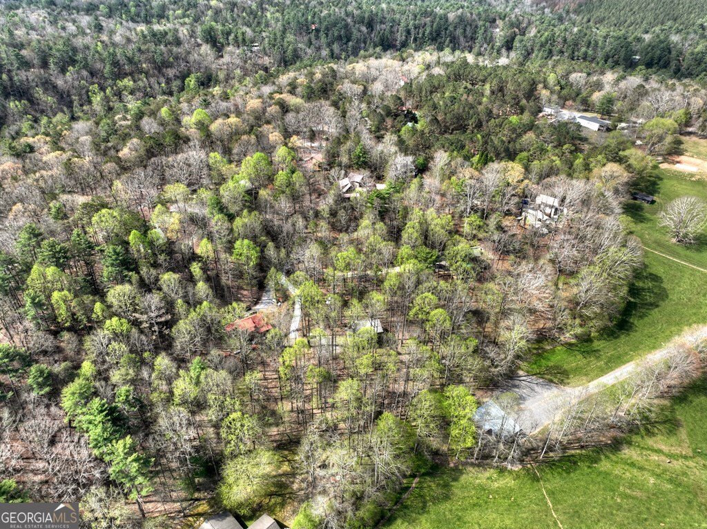 186 Stegall Mill Trail Ellijay - Photo 37