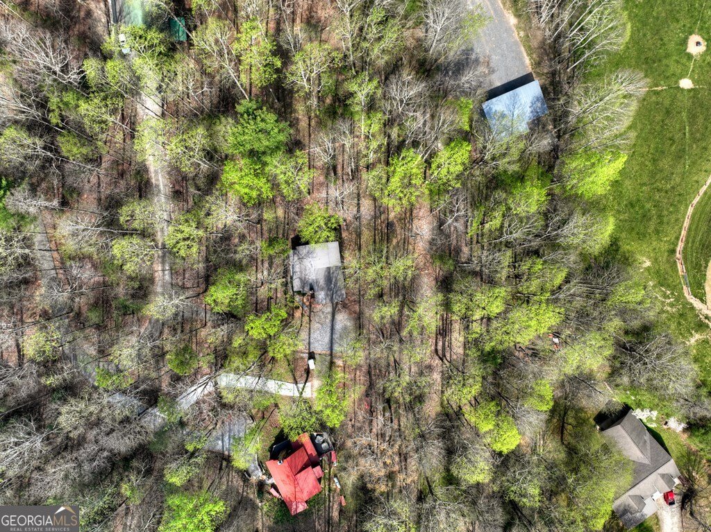 186 Stegall Mill Trail Ellijay - Photo 38