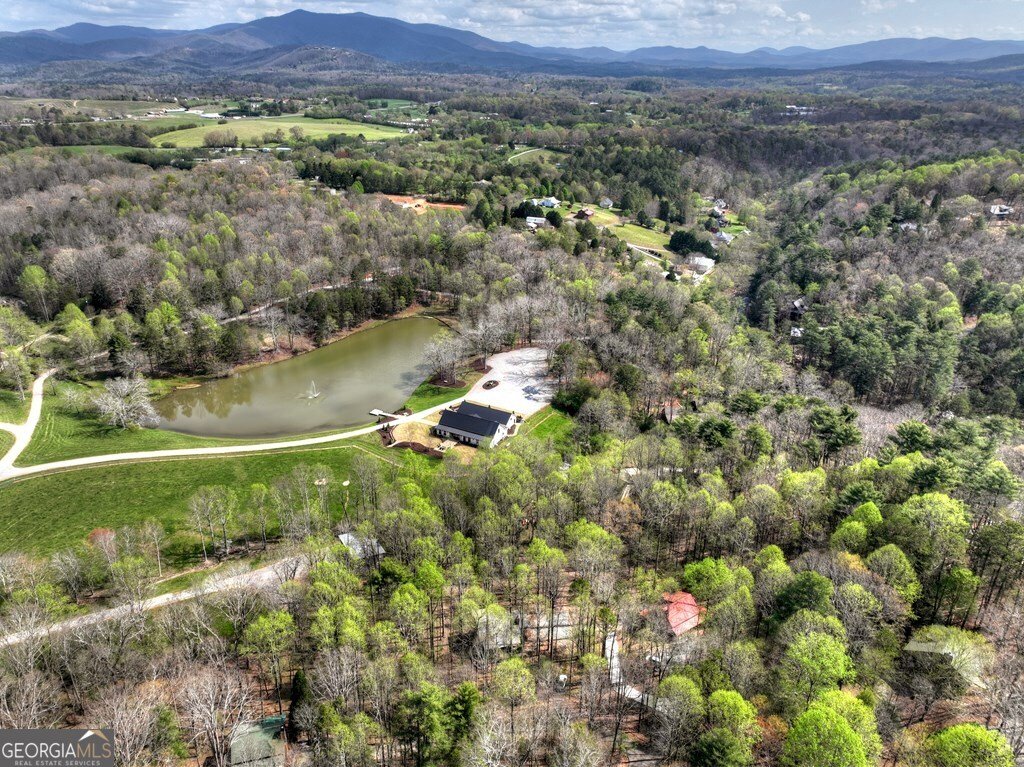 186 Stegall Mill Trail Ellijay - Photo 39