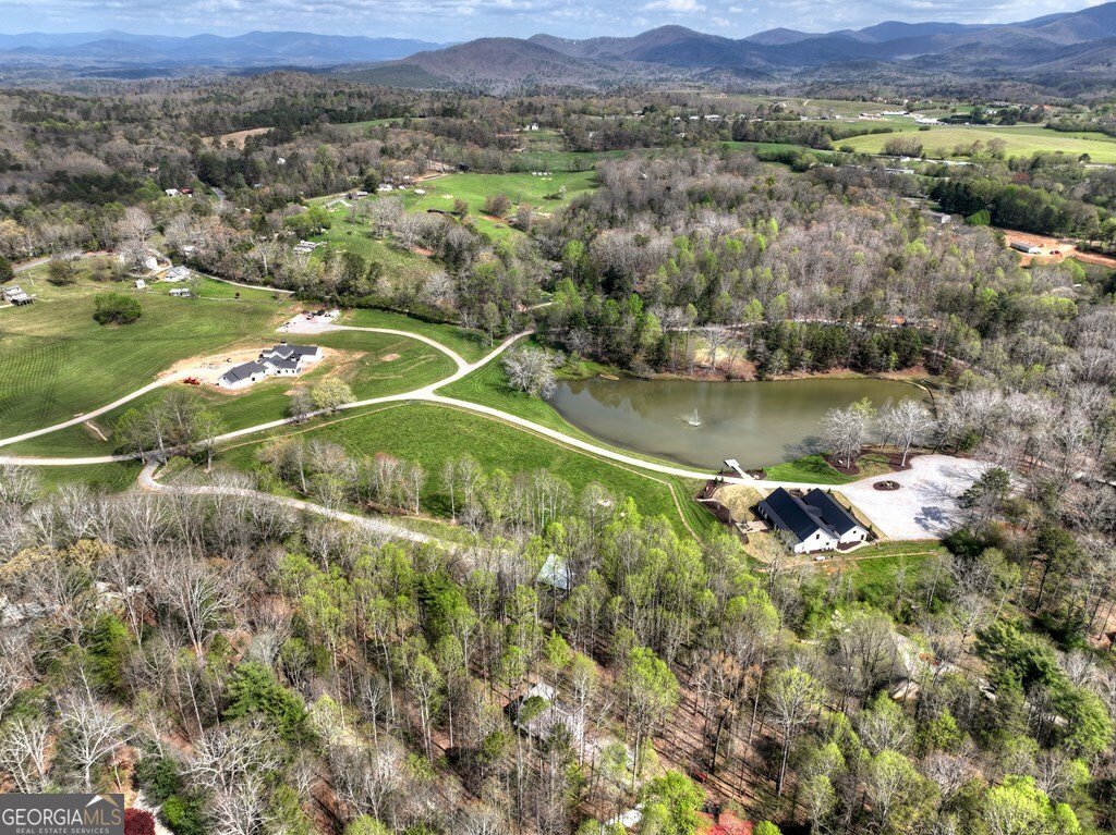 186 Stegall Mill Trail Ellijay - Photo 40