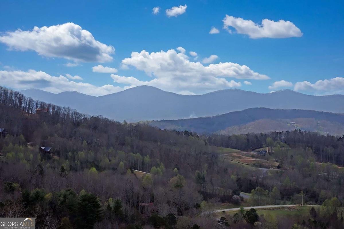 200 Honey Hill Road Morganton - Photo 19