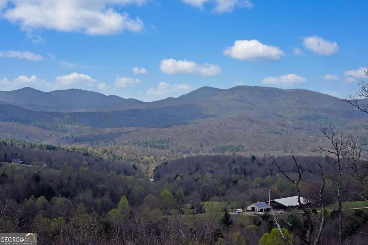 200 Honey Hill Road Morganton - Photo 38