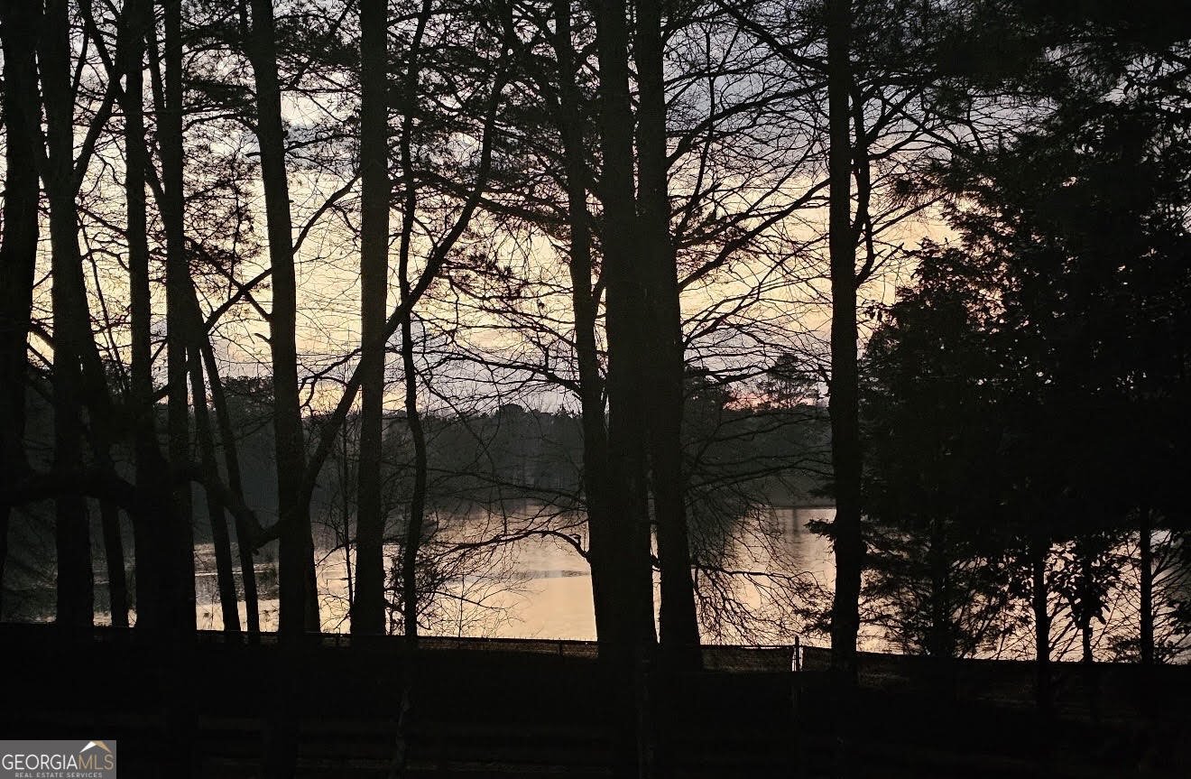 200 Chaparral Trace Tyrone - Photo 40