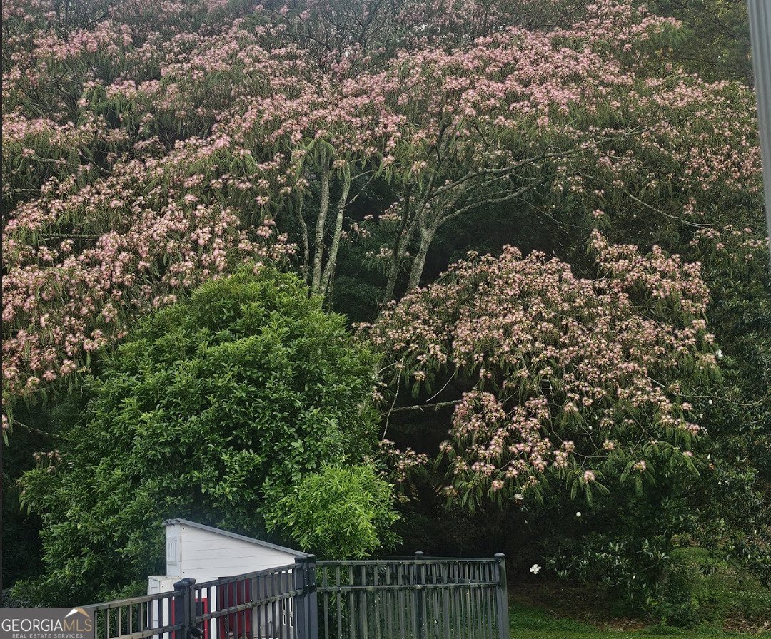 200 Chaparral Trace Tyrone - Photo 44