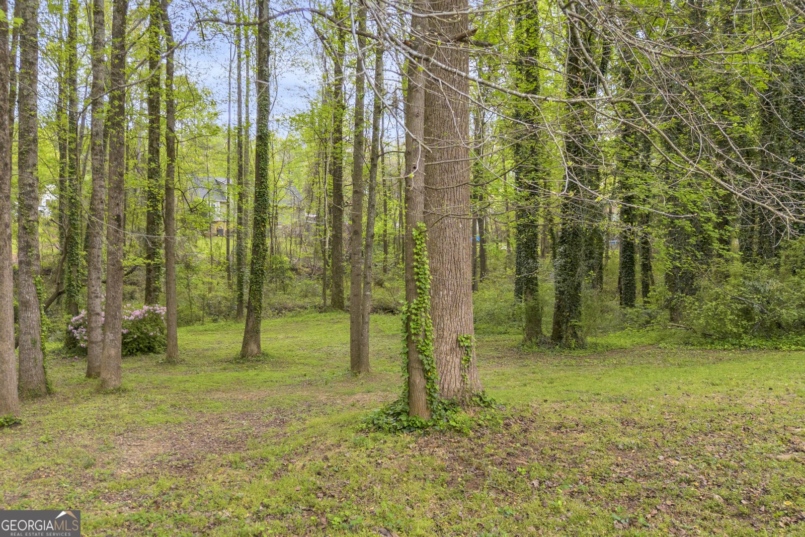 1517 Country Court Auburn - Photo 31