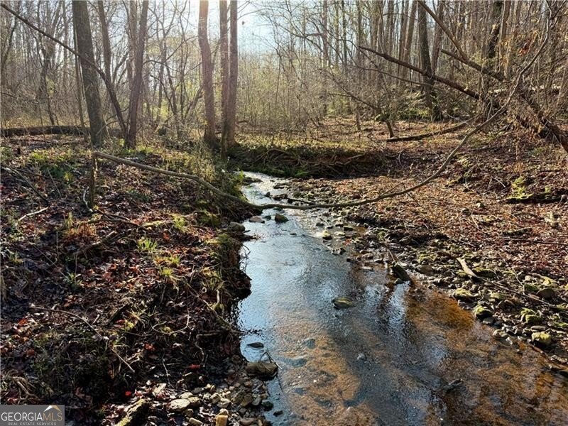 1565 Shoal Creek Road Clermont - Photo 11