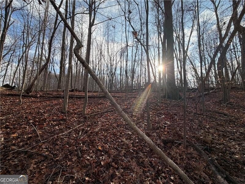 1565 Shoal Creek Road Clermont - Photo 12