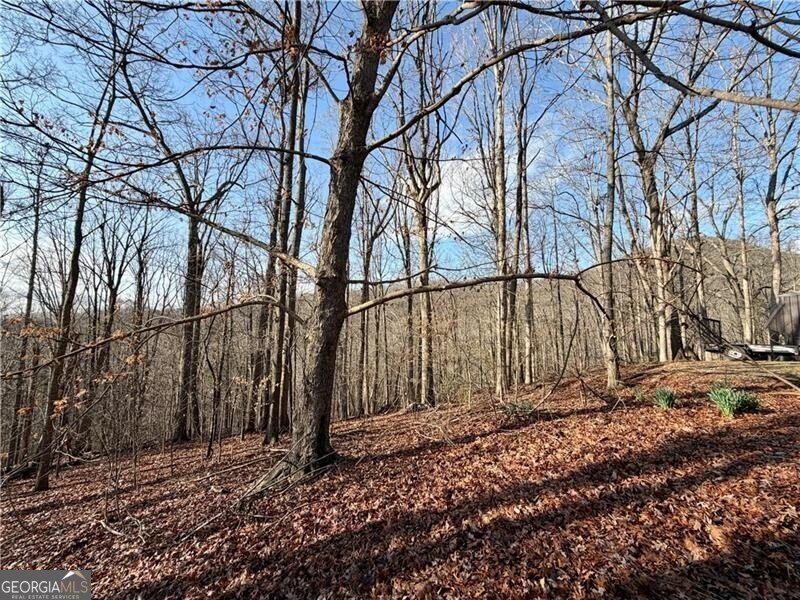 1565 Shoal Creek Road Clermont - Photo 13