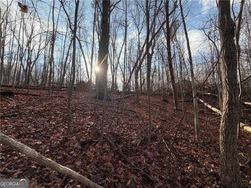 1565 Shoal Creek Road Clermont - Photo 14