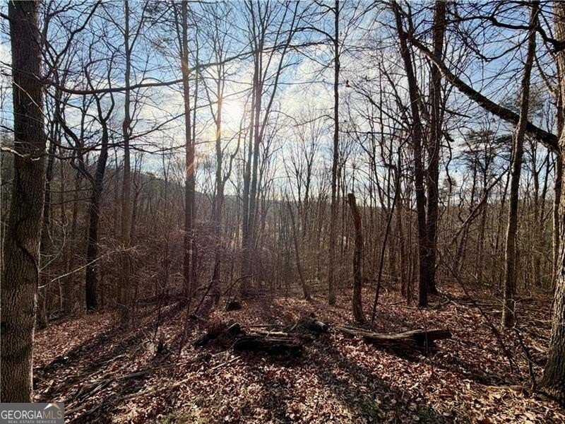 1565 Shoal Creek Road Clermont - Photo 15