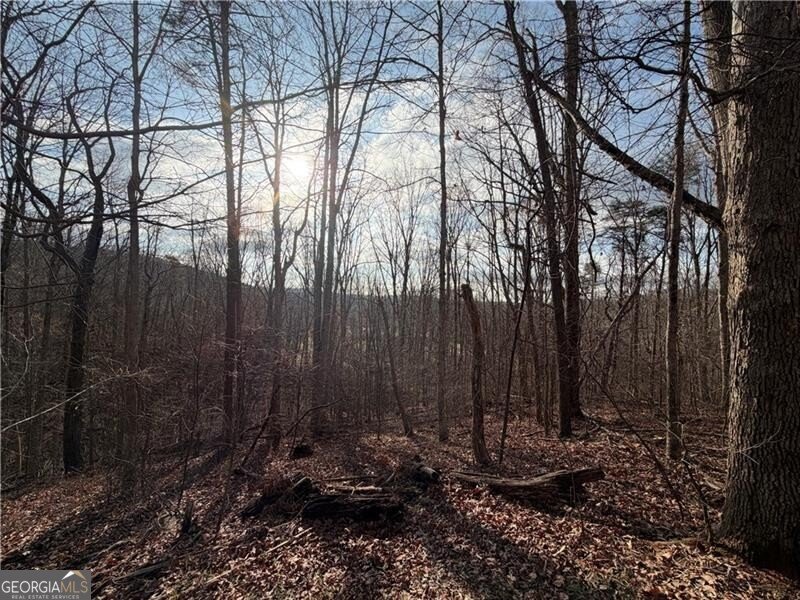 1565 Shoal Creek Road Clermont - Photo 16