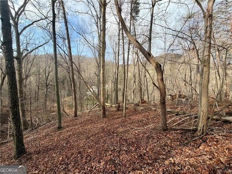 1565 Shoal Creek Road Clermont - Photo 18