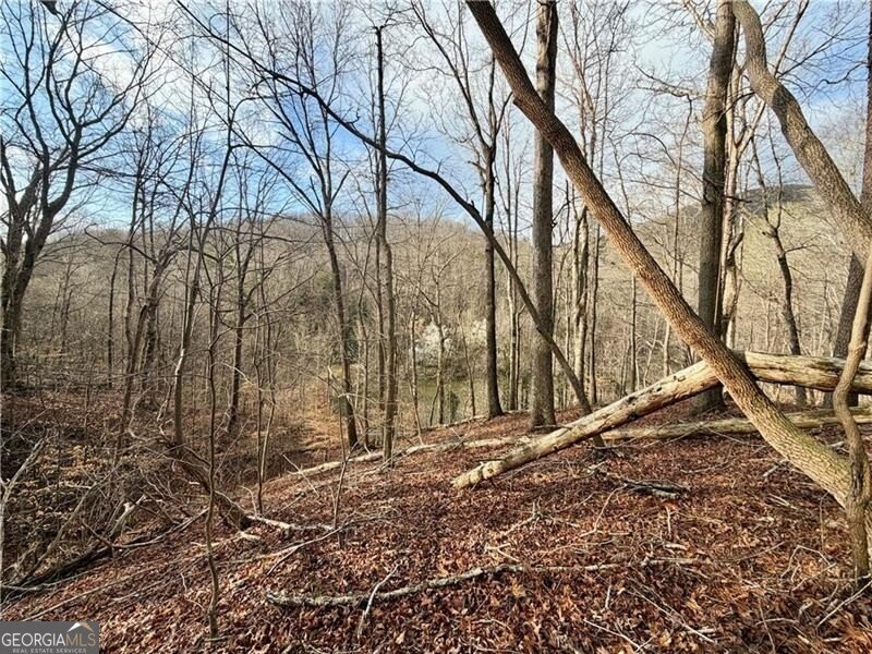 1565 Shoal Creek Road Clermont - Photo 20