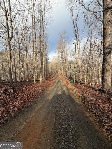 1565 Shoal Creek Road Clermont - Photo 38