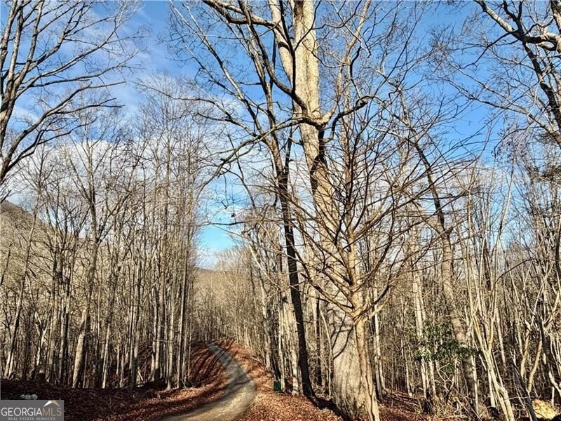 1565 Shoal Creek Road Clermont - Photo 39