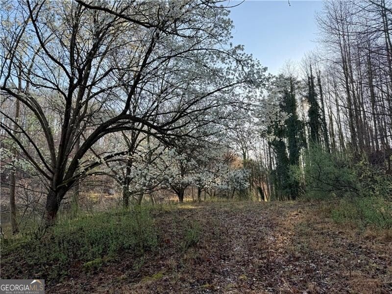 1565 Shoal Creek Road Clermont - Photo 8