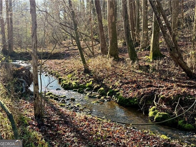 1565 Shoal Creek Road Clermont - Photo 9