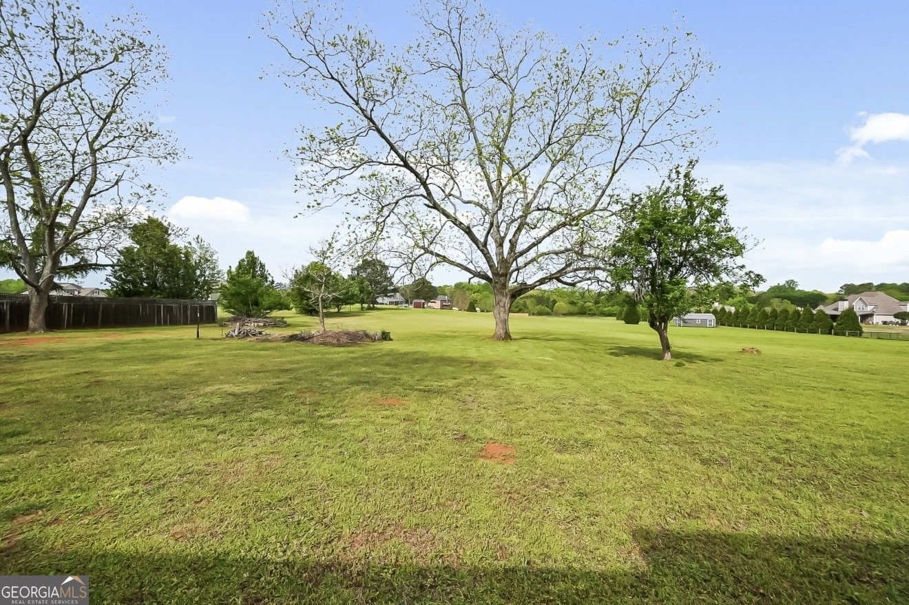 1015 Sid Hunter Road Senoia - Photo 27