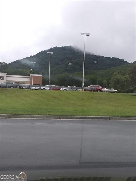 574 Bachelors Button Drive Clayton - Photo 21