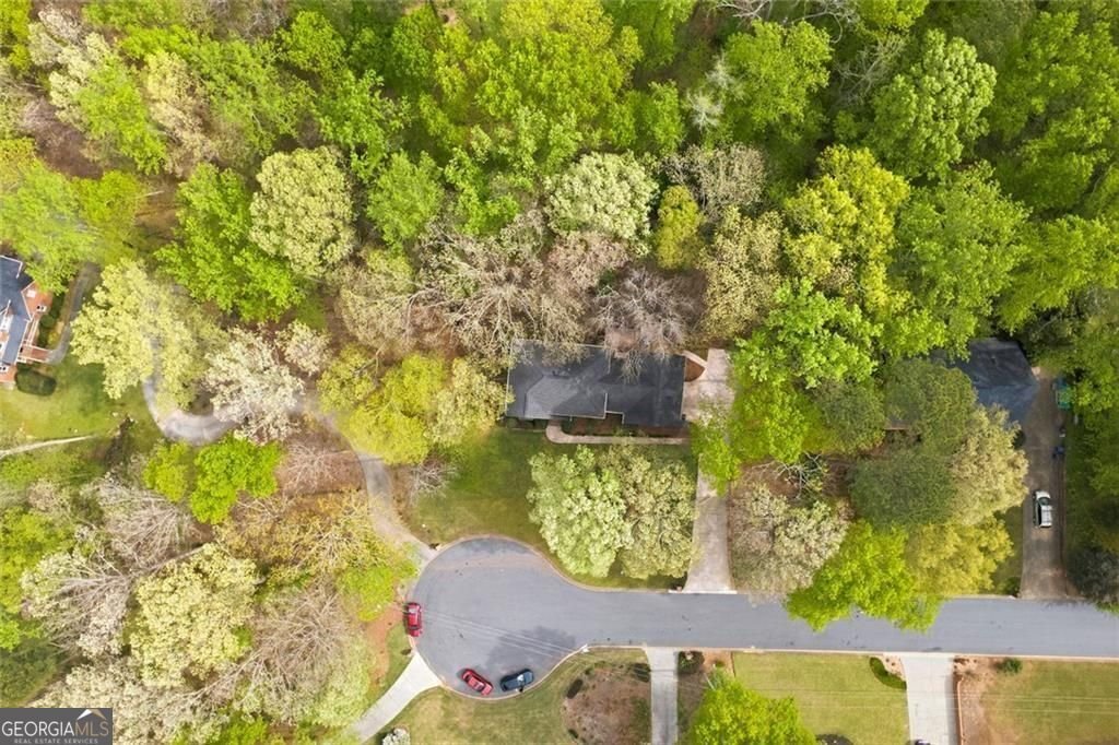 4210 Antelope Lane Snellville - Photo 43