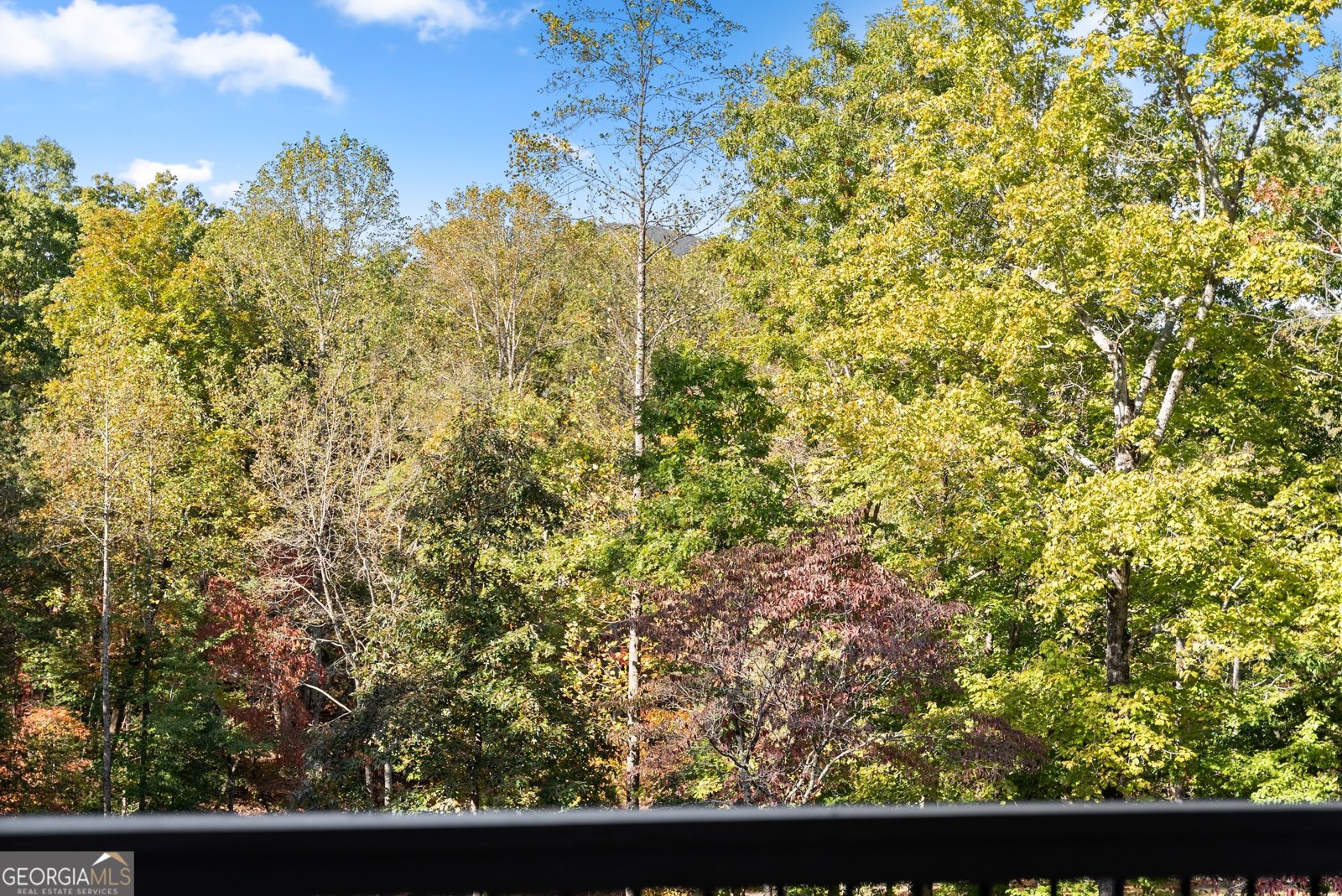 2123 Goat Neck Road Cleveland - Photo 50