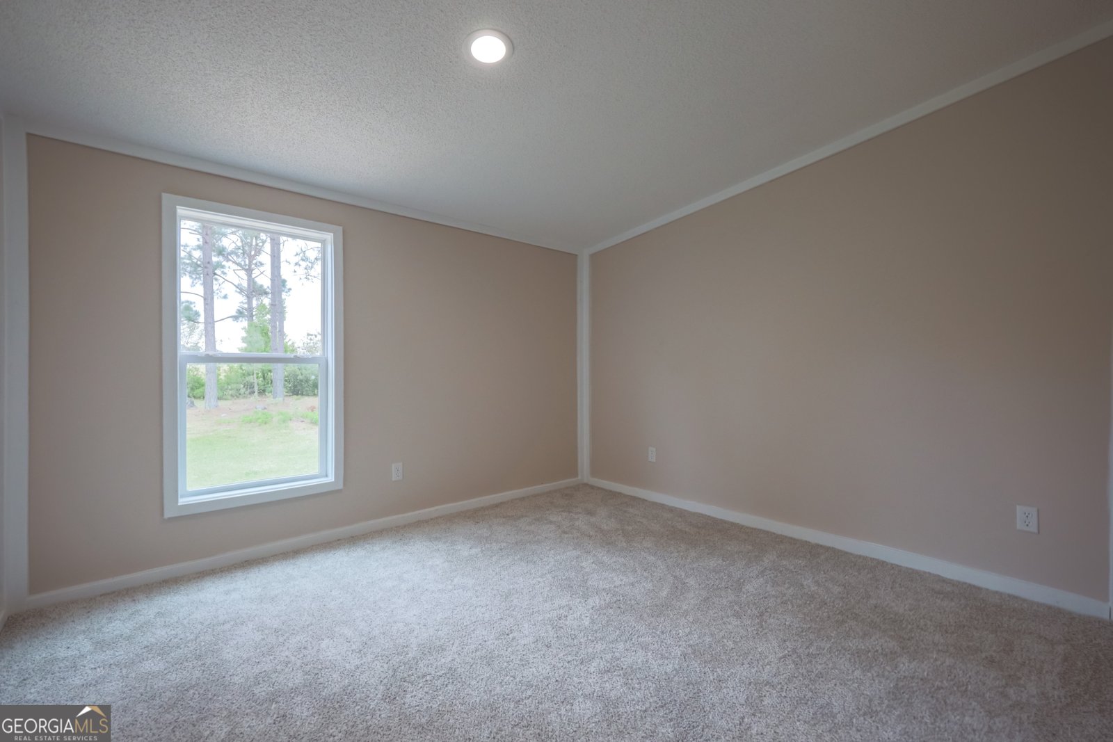 512 Bennett Still Highway Alma - Photo 21