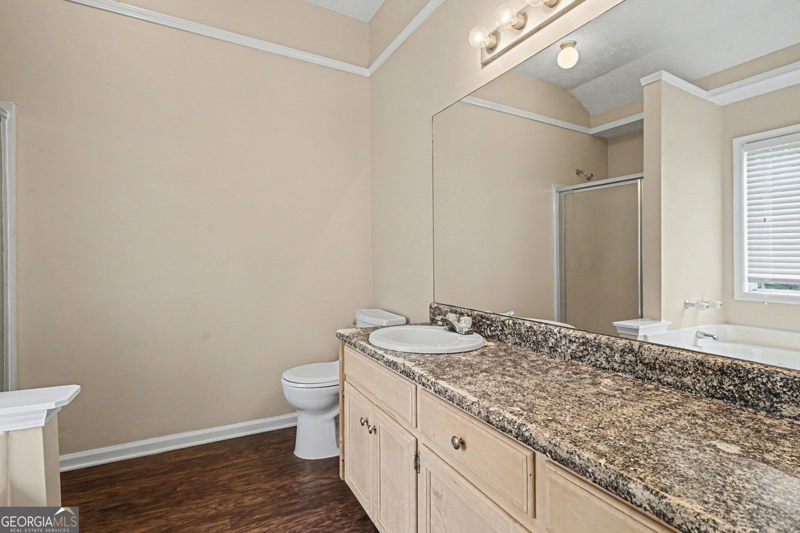 4615 Wheeler Creek Drive Hoschton - Photo 20