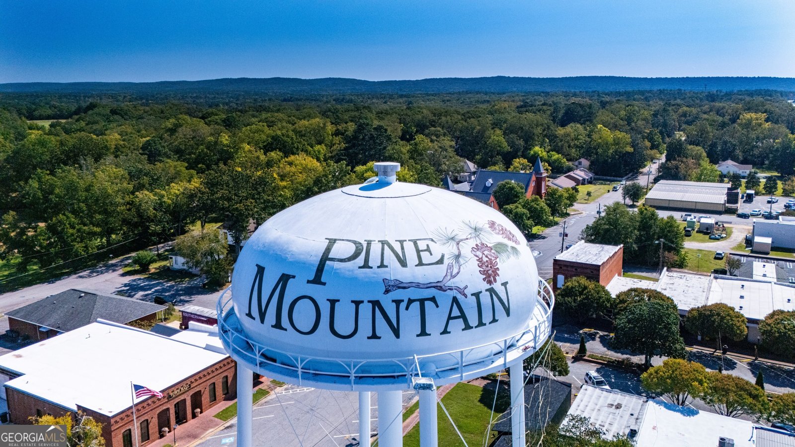 2243 Maple Lane Pine Mountain - Photo 31