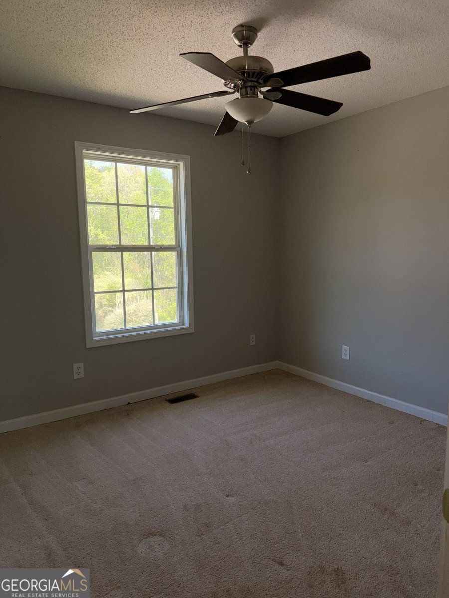 339 Prometheous Way Rockmart - Photo 13