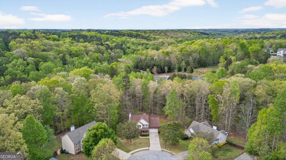 3512 Windy Oaks Way Loganville - Photo 68