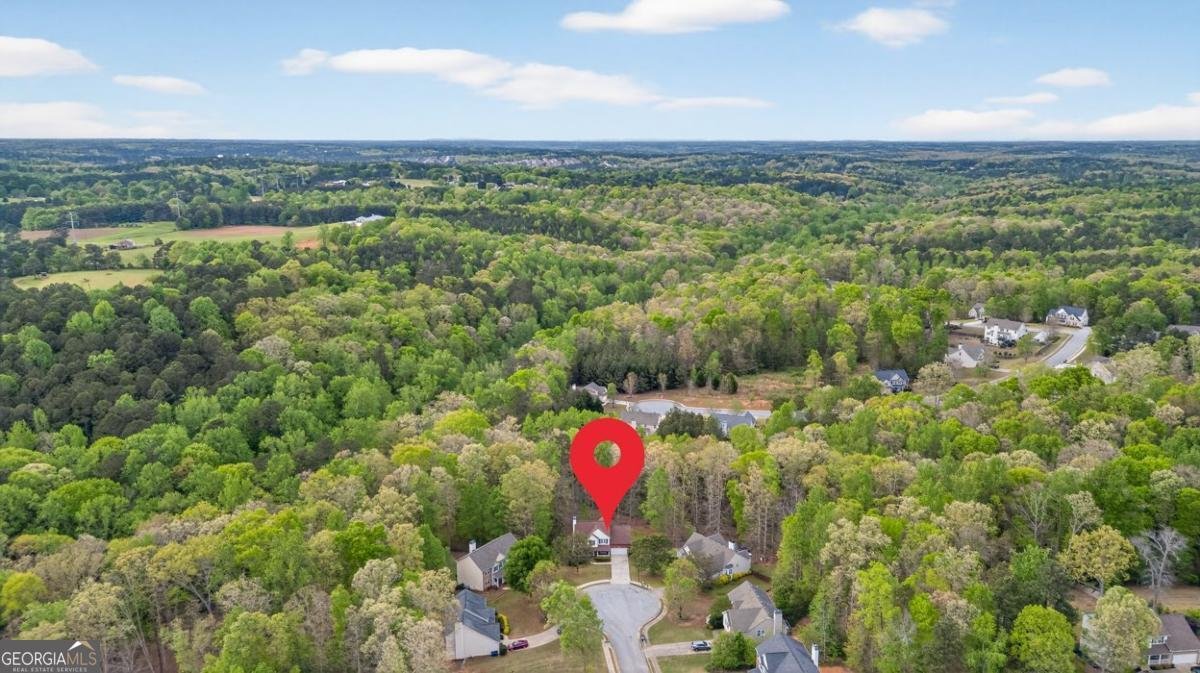 3512 Windy Oaks Way Loganville - Photo 69