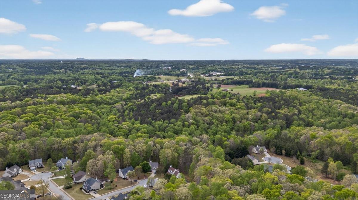 3512 Windy Oaks Way Loganville - Photo 71