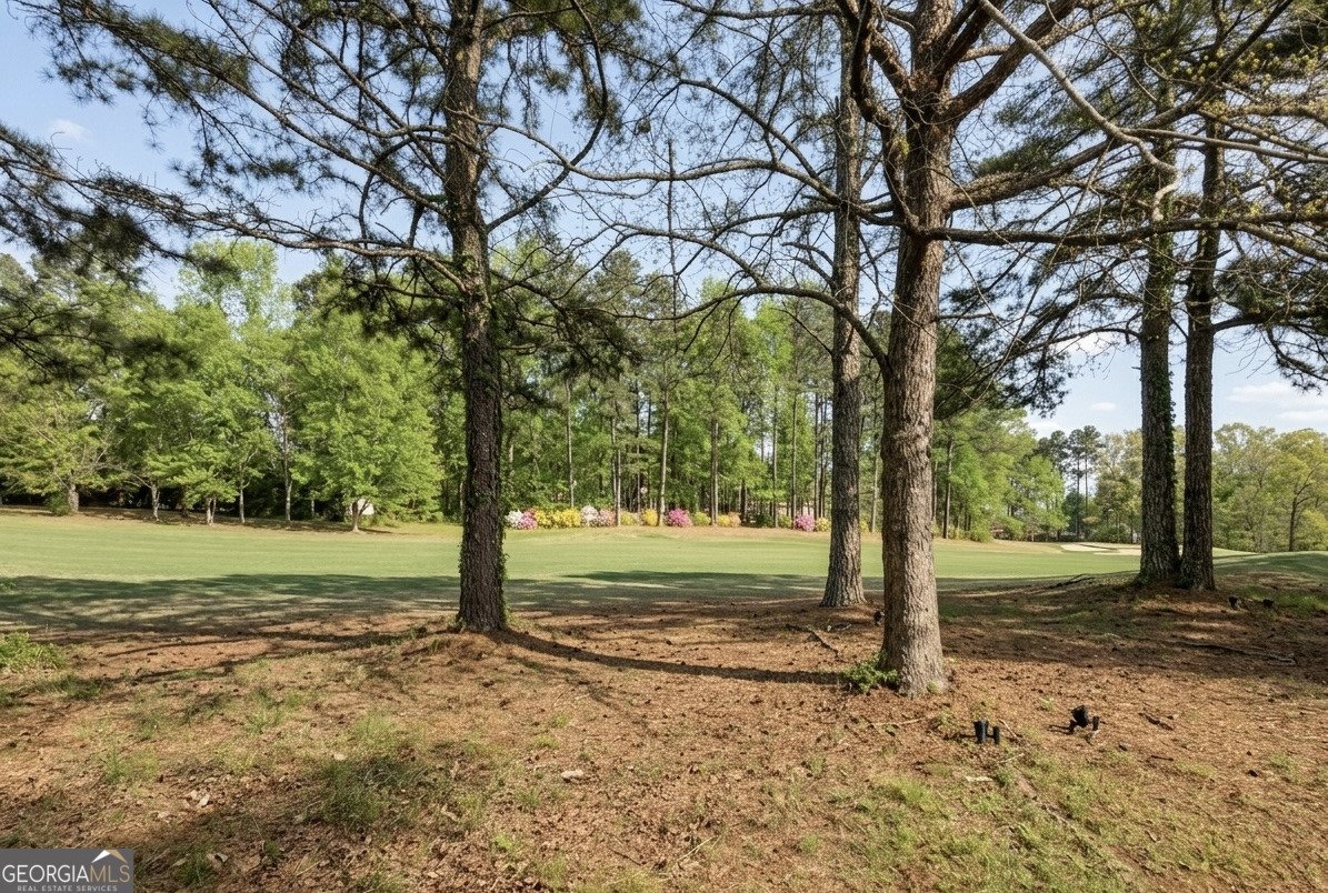 105 Links Court Newnan - Photo 29