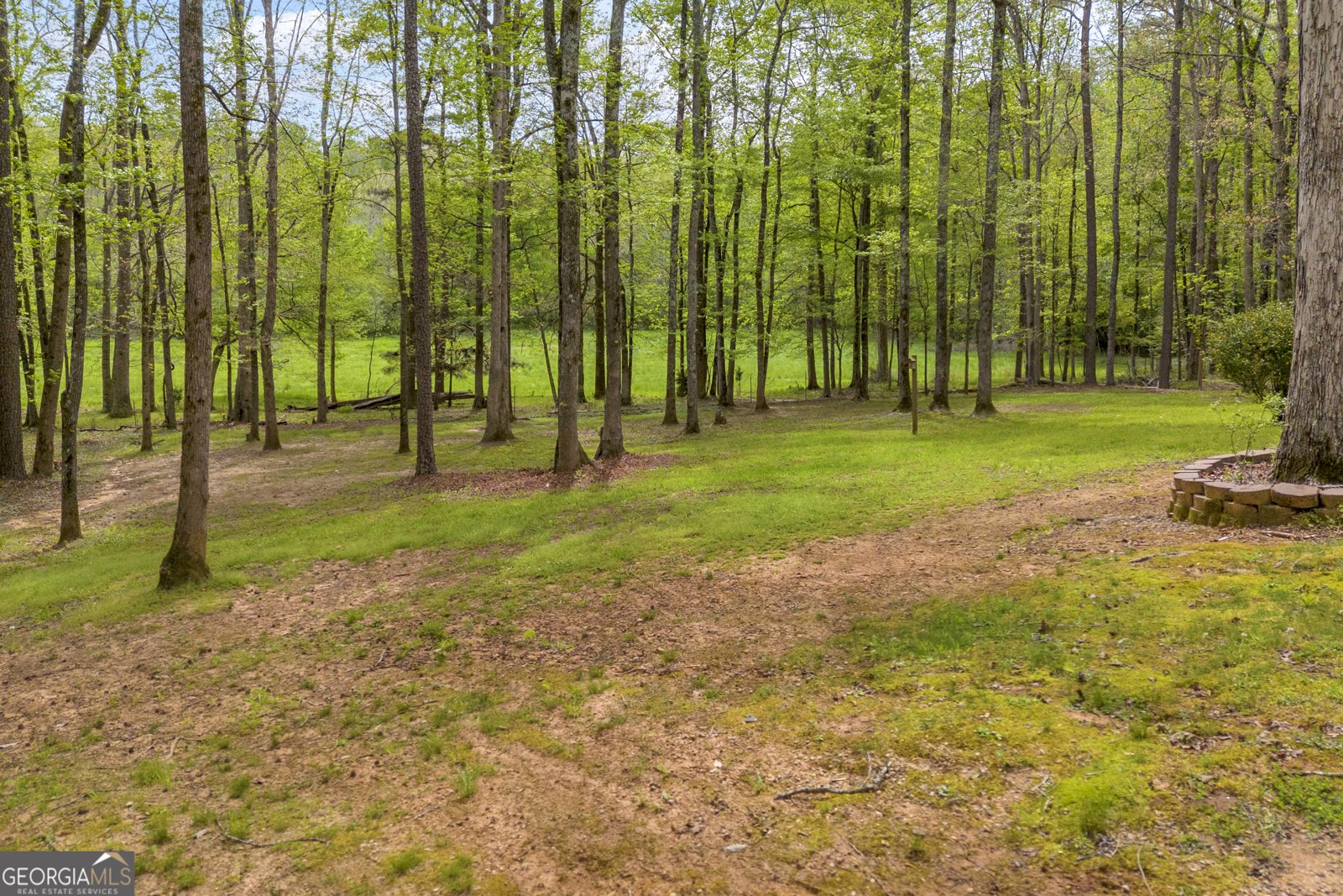 1253 Beechnut Lane Watkinsville - Photo 11