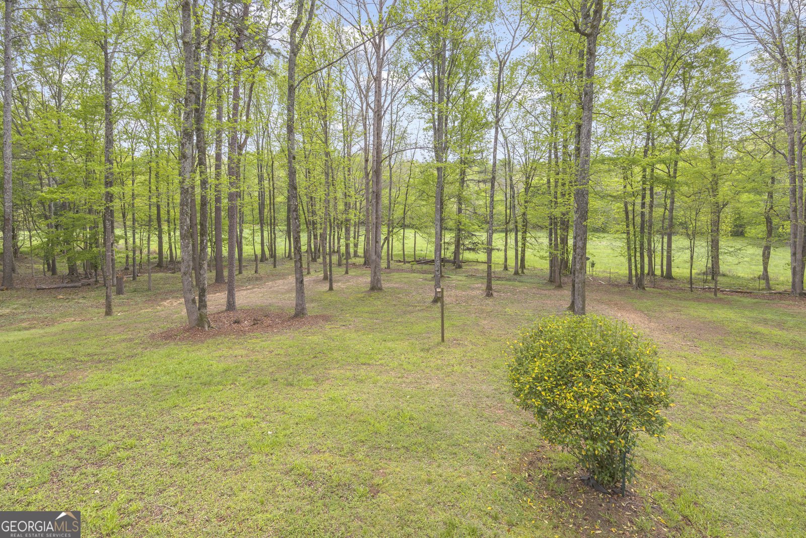1253 Beechnut Lane Watkinsville - Photo 20